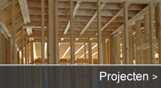 Projecten